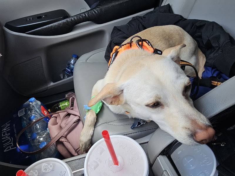 Sherwood South Animal Hospital & Emergency Center