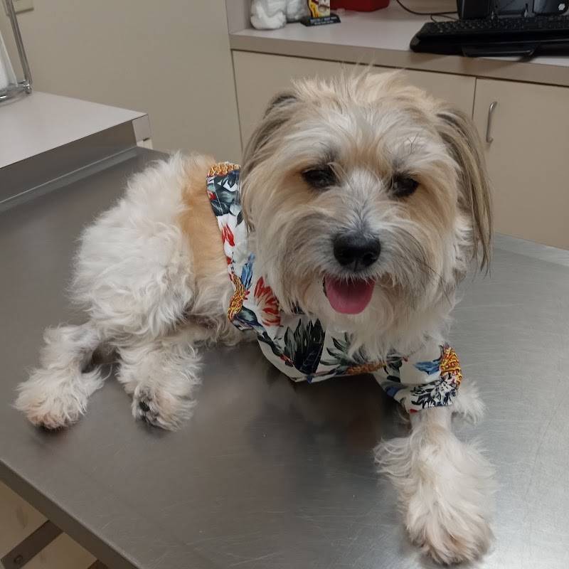 Sherwood South Animal Hospital & Emergency Center