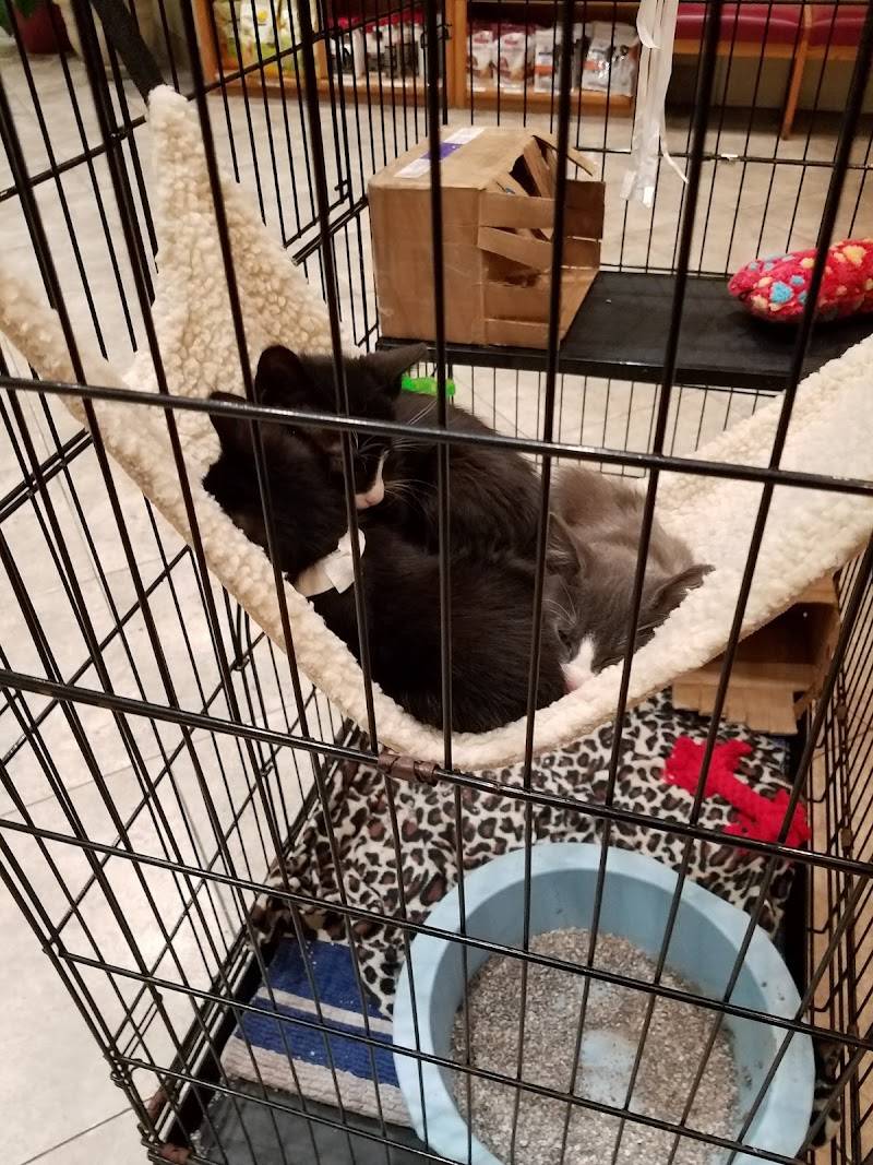 Sherwood South Animal Hospital & Emergency Center