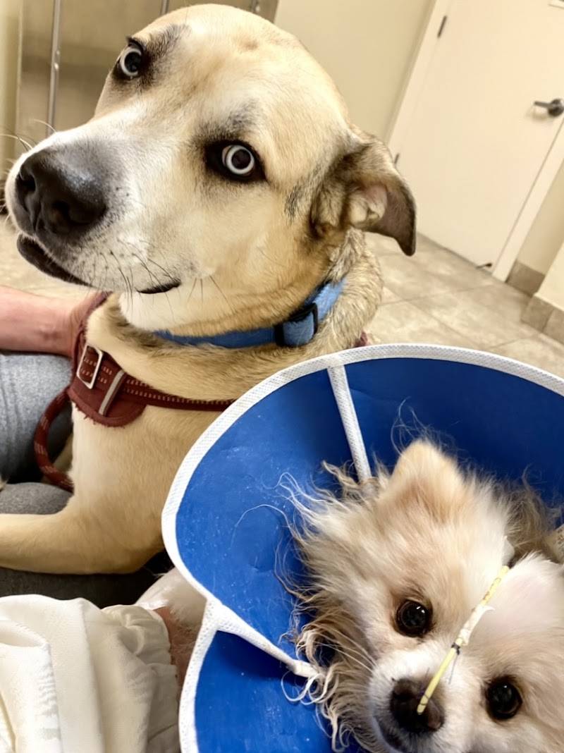 Sherwood South Animal Hospital & Emergency Center