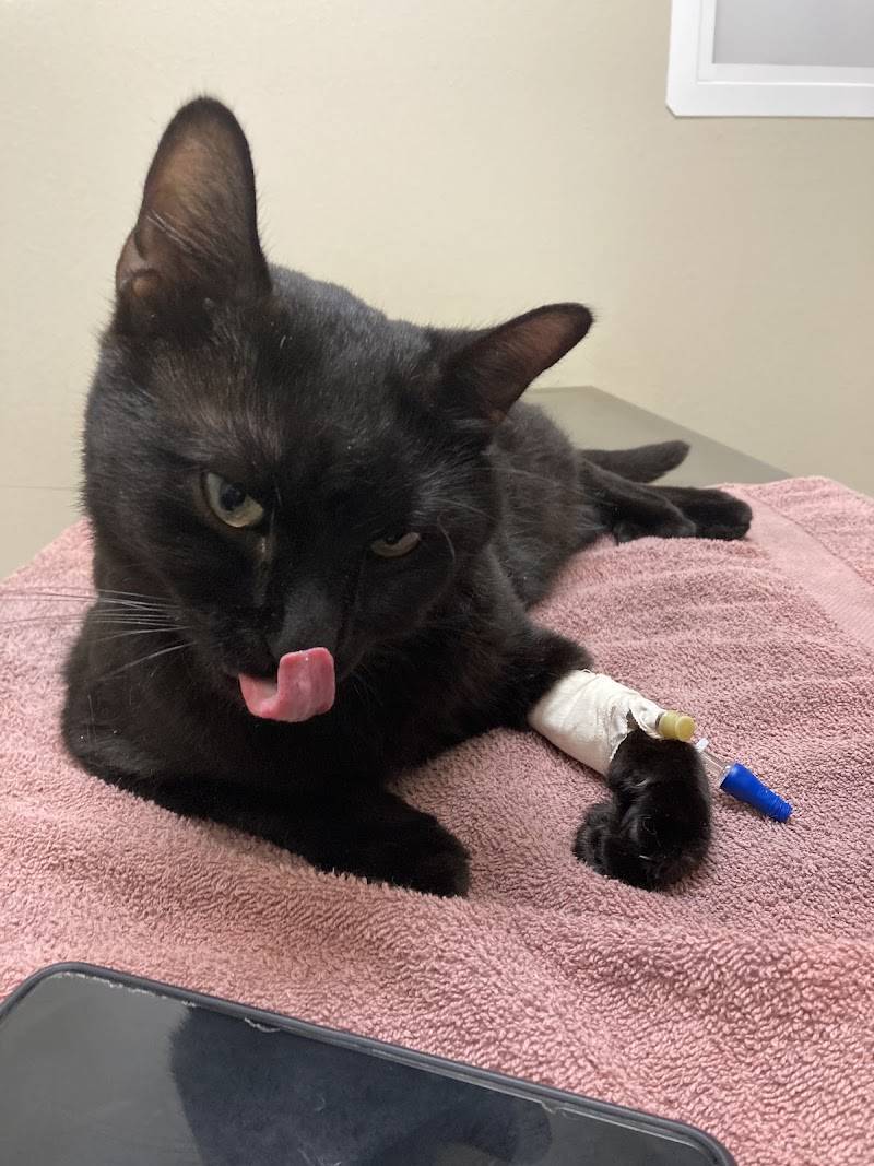 Sherwood South Animal Hospital & Emergency Center