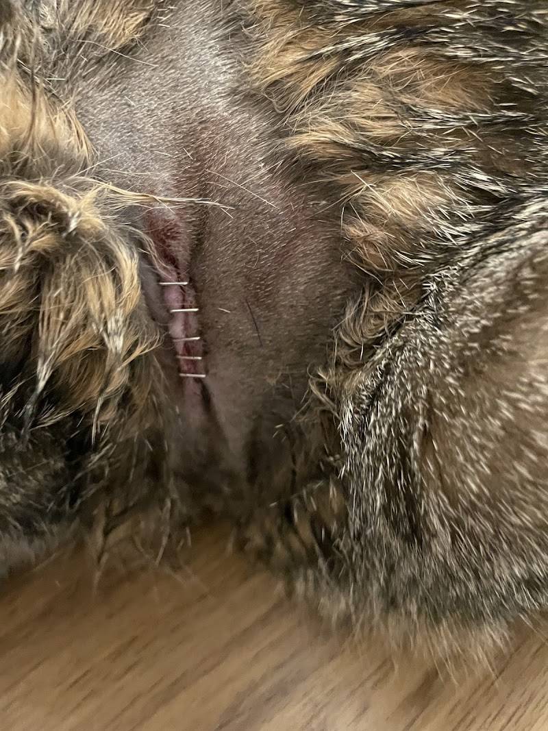 Sherwood South Animal Hospital & Emergency Center