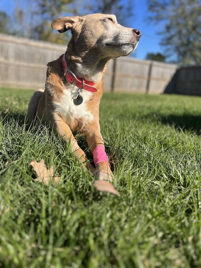Sherwood South Animal Hospital & Emergency Center